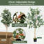 2 pièces d'arbre artificiel d'eucalyptus artificiel de 5,5 pi pour le bureau du salon
