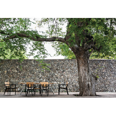 Fauteuil de salle à manger Diuna