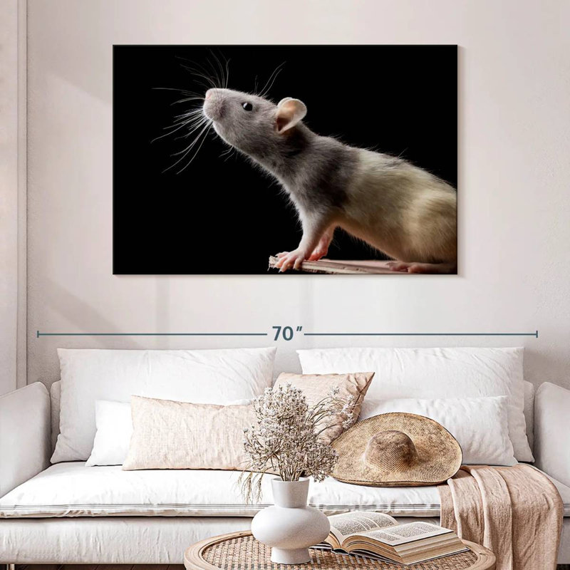 Brampt Rat Close Up, 32" H x 48" W