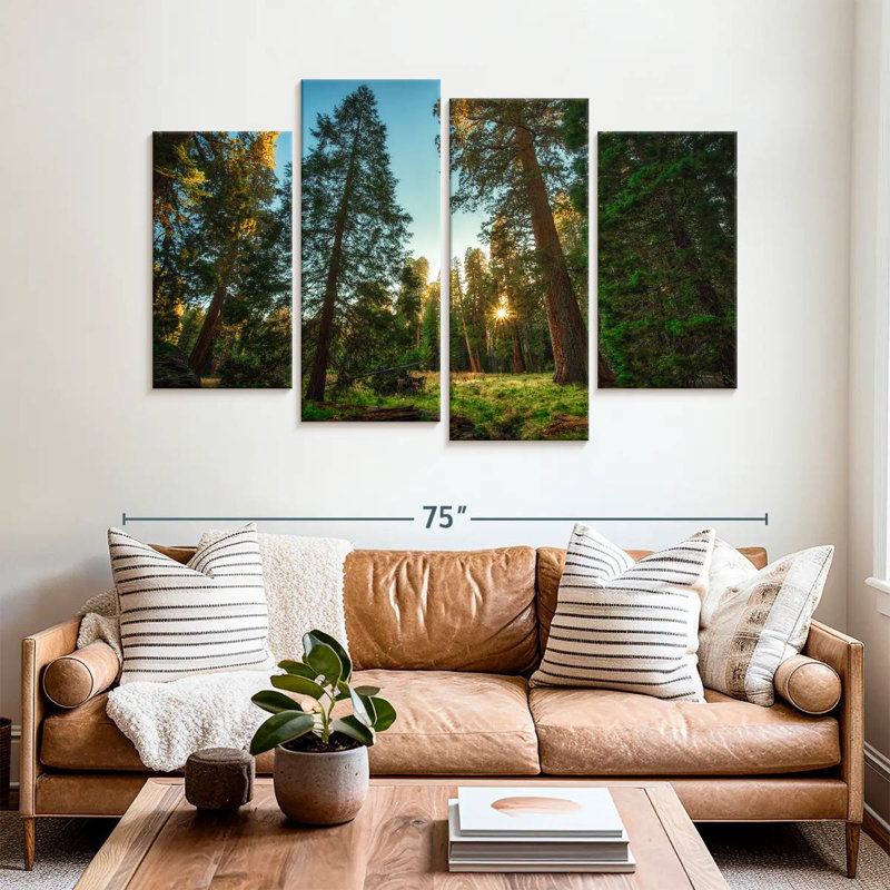 Alvord Sequoia Forest Scenery