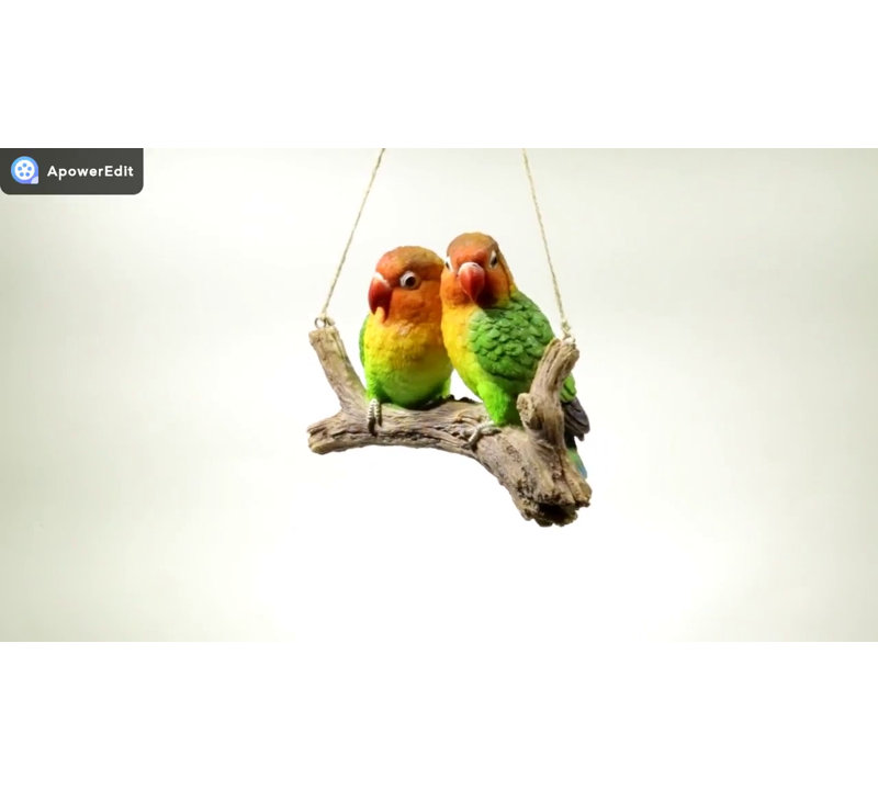 Vibrant Multicolor Resin Lovebirds Hanging Decor