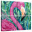 Portrait de flamant rose Brampt-109164508