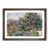 Walnut Framed