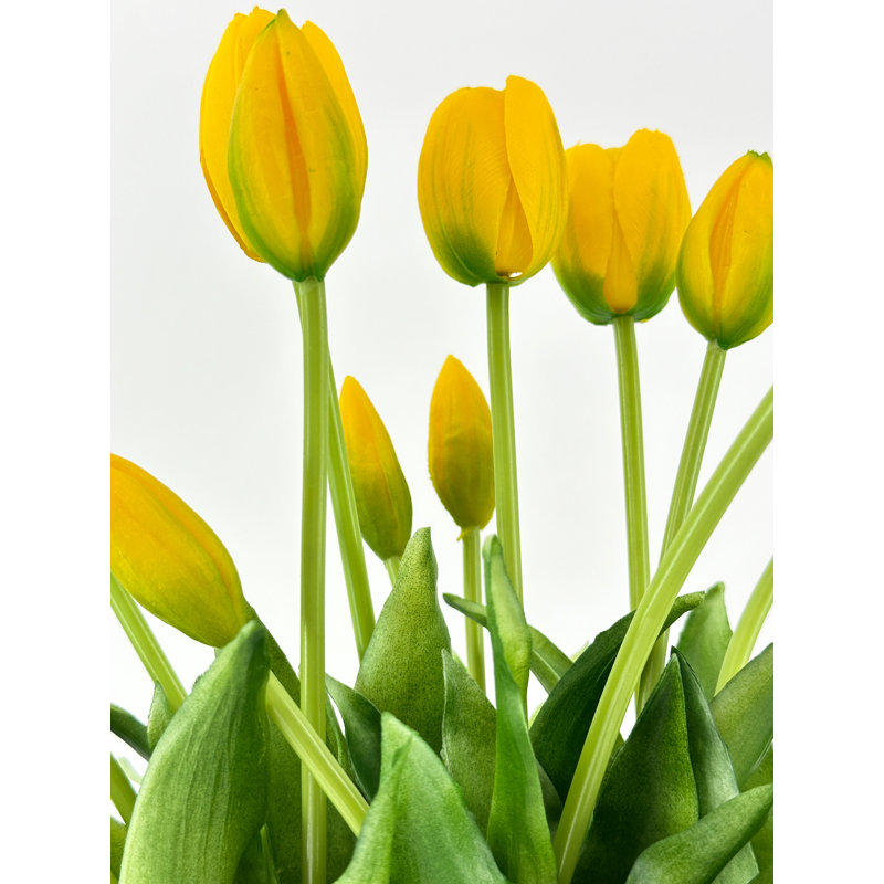 5 vraies tulipes artificielles, Jaune