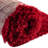 Indoor Rug-1315499344