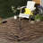 Ajacia Animal Print Dark Brown/Natural Indoor/Outdoor Area Rug-20793999