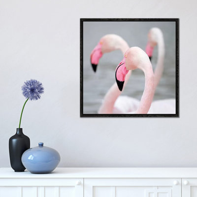 Flamingo I by Ben Heine - Floater Frame Print on Canvas