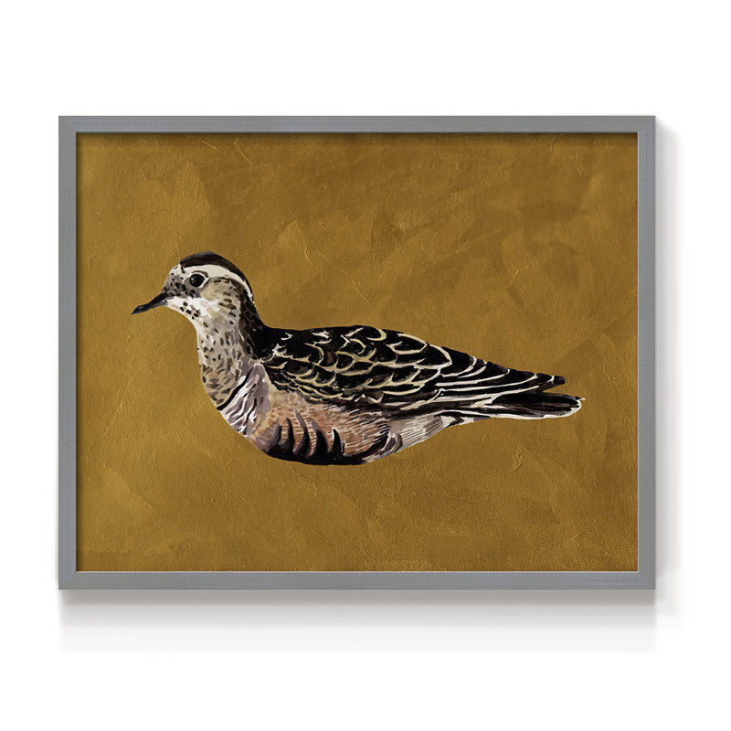 «Feathered Friend I», reproduction encadrée, Gris, H 16 po x l 20 po
