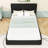 Upholstered Bed with RGB LED and Built-in Bluetooth Speakers-794164975-794164968