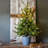 52' Lighted Pine Christmas Tree