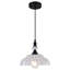 Luminaire suspendu en forme de dôme à 1 lumière de 9,84 po de large avec abat-jour en verre pétale avec cordon-126816010