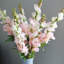 Real Touch Snapdragon Faux Floral-24581444