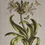 4 décorations en lin - Art mural pour les maisons en toile taupe