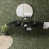 Kaki