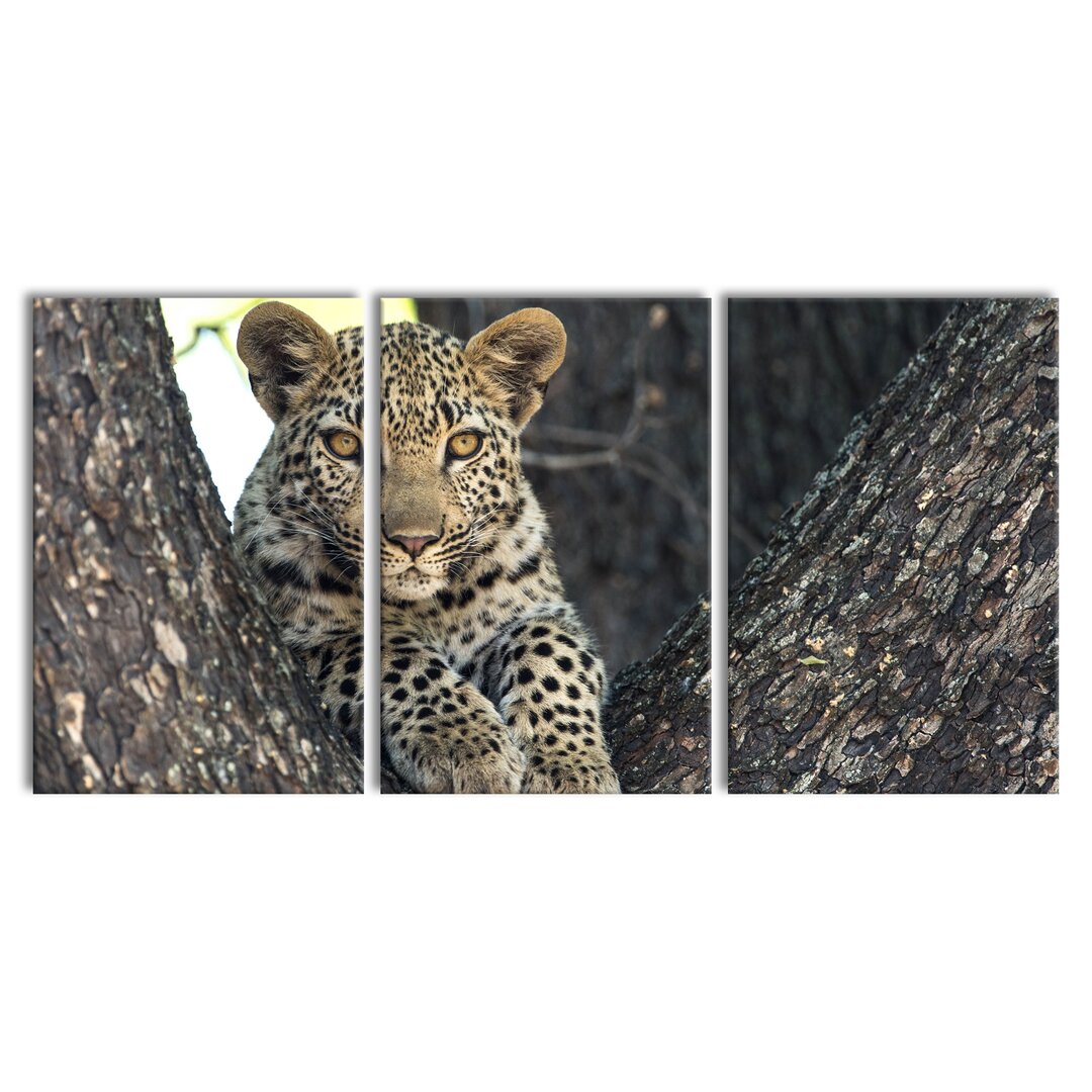 3-tlg. Leinwandbilder-Set Leopard Cub