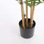 150cm Bamboo Tree in Pot