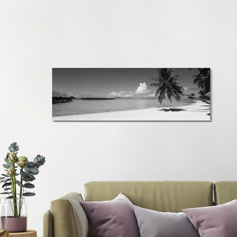 Palm Tree On The Beach, Moana Beach, Bora Bora, Tahiti, French Polynesia by Panoramic Images - Wrapped Canvas Panoramic Print