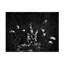 Paysage paysage botanique noir et blanc avec texture-798936445