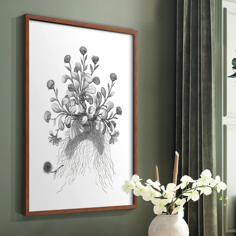 «B&W Plant Speciment VII», reproduction encadrée - bois massif, Brun, H 14 po x l 11 po