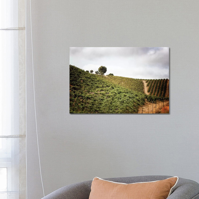 Paso Robles par Michelee Scott - Photographie sur toile tendue, H 18 po x l 26 po x P 1,5 po