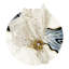 Blue Pearl Earth Tone Shell Placemat-158908154-158908156