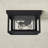 Vermont 10'' W 2 - Bulb Outdoor Flush Mount-1410736799