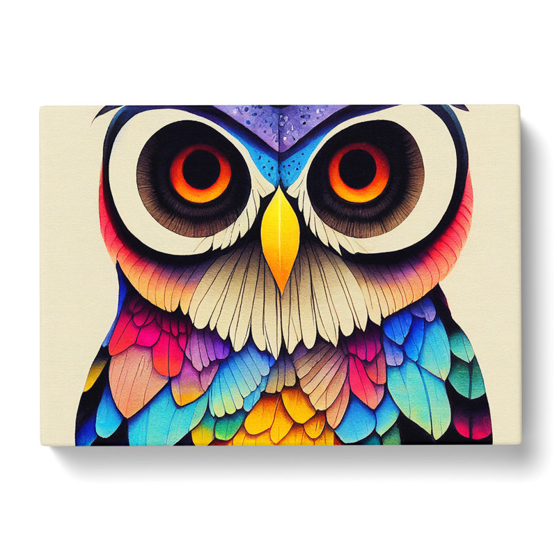 Colourful Owl Vol.2 - Wrapped Canvas, 35cm H x 50cm W x 3cm D