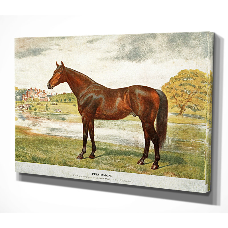 « équin sketch xxvii », reproduction d’impression sur toile tendue, H 18 po x l 27 po x P 1,5 po