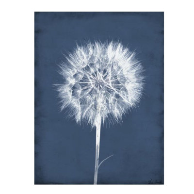 Puffy Seed III Print by Chris Dunker