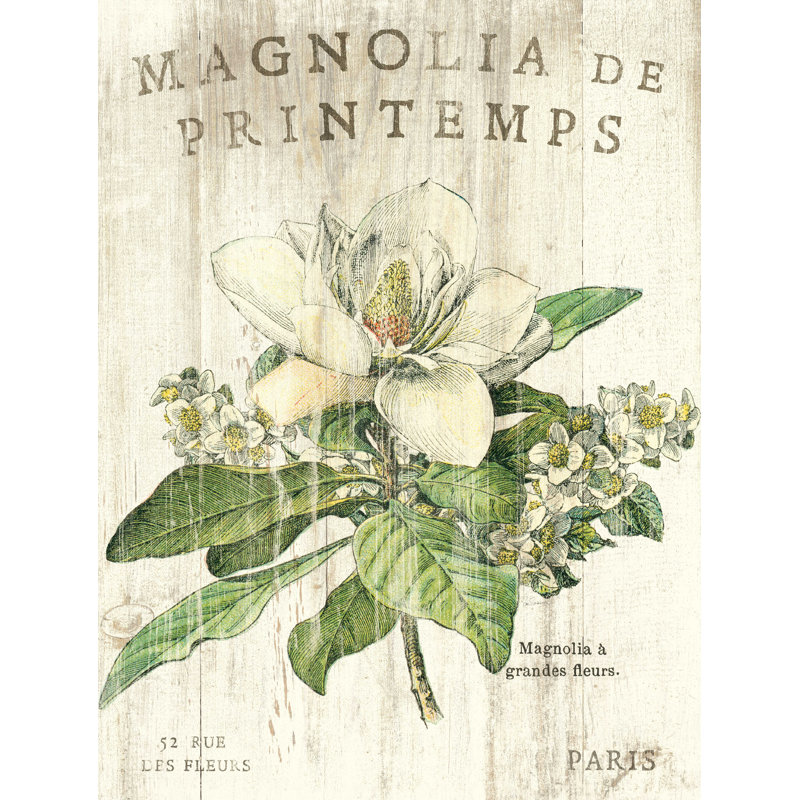 Magnolia De Printemps - Impression sur toile tendue, H 48 po x l 36 po
