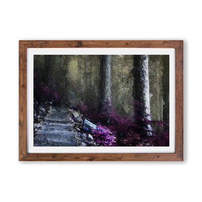 Path Through a Forest in Vancouver - Framed Print