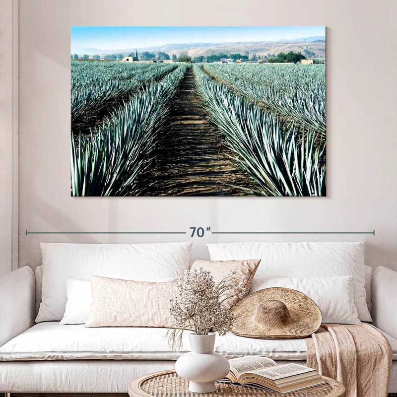 Agave Alvord Farm, H 34 po x l 51 po