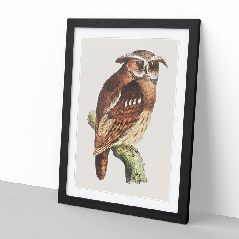Owl on a Branch by Theo Van Hoytema - Picture Frame Painting, Black Framed, 65cm H x 48cm W x 2cm D