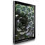 «Zen Succulent I» par J Paul - reproduction de photo sur toile encadrée-2023174109-2023174108