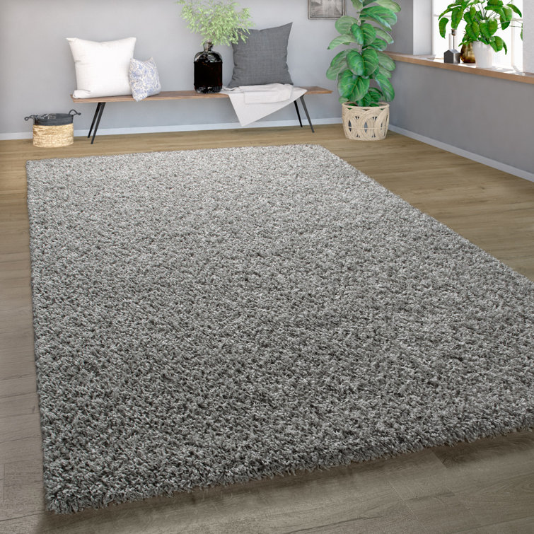 Epperson Solid Colour Shag Area Rug