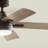 52'' Ceiling Fan with LED Lights-239975205