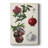 Pomegranate Composition II - Wrapped Canvas Painting-152721599