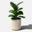 Pot à fleurs rond Demi Series-83894855-86823200-83894852