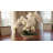 Phalaenopsis Orchid Floral Arrangement in Vase-136407377