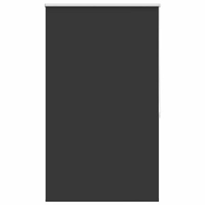 Room Darkening Roll-Up Blind