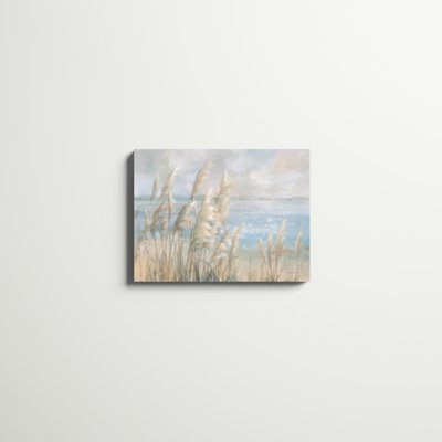Seaside Pampas Grass