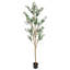 Olive artificielle - H 5 pi-281238404