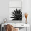 Harnek Agave Cactus BW-108599767