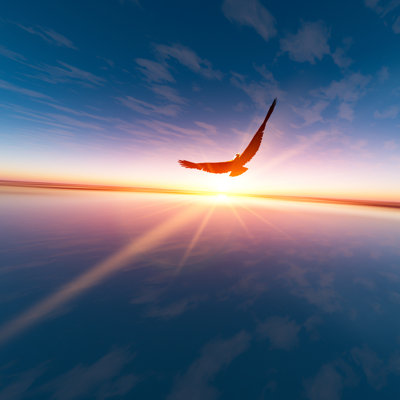 Eagle Against Horizon Sun by Truelight - Wrapped Canvas Print