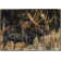 Tapis Moose