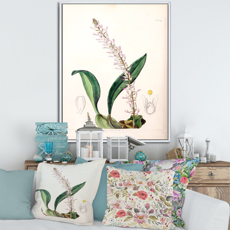 Vintage London Plants V - peinture sur toile, H 32 po x l 24 po x P 1 po, Cadre flottant blanc