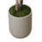 Lemon Tree in Fiberstone Pot