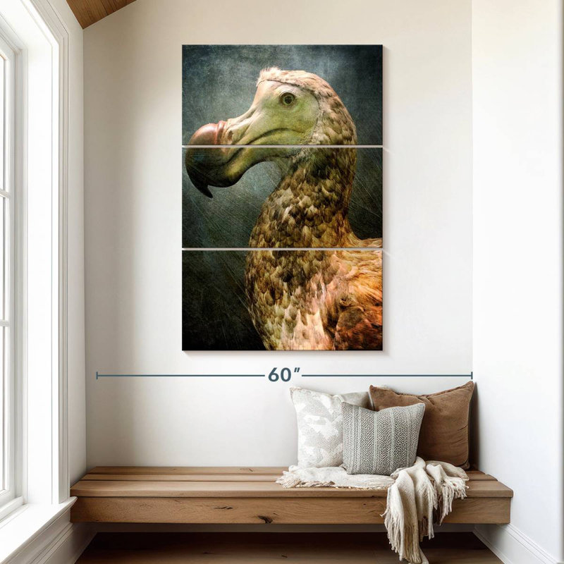 Magnifique dodo Brampt