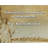Fleur De Lis Living Gallery Wrapped Canvas By P. V. Narasimha Rao: "Time itself is the solution to all prob