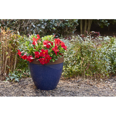 Hornsby Outdoor Pot Planter